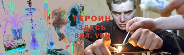 шишки Горняк