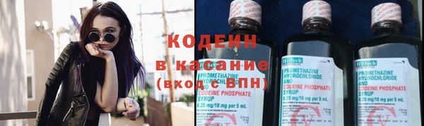 шишки Горняк