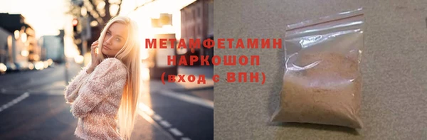 шишки Горняк