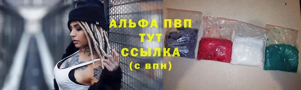 шишки Горняк
