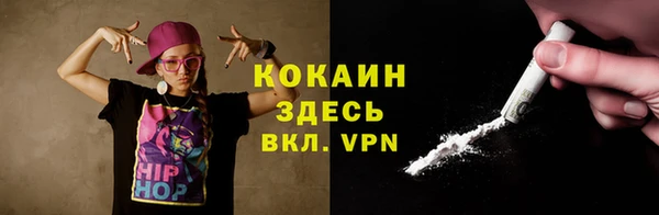 шишки Горняк