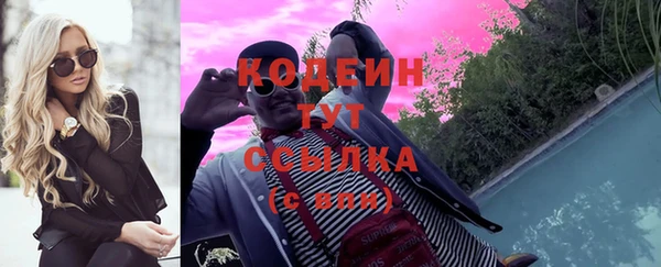 индика Вяземский