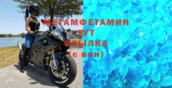 шишки Горняк
