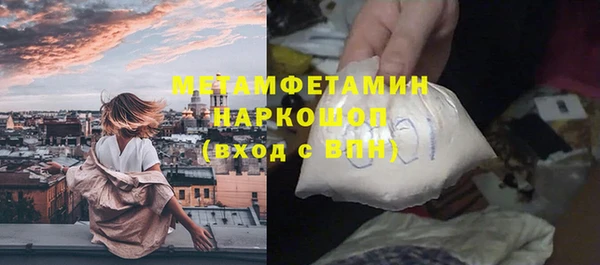шишки Горняк