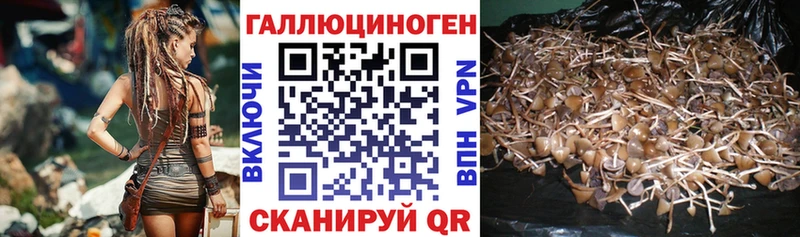 Галлюциногенные грибы ЛСД  Армавир 